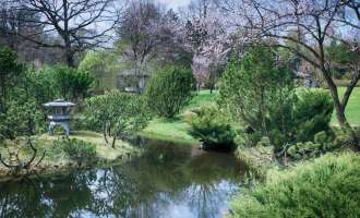 Японский сад в Ботаническом саду